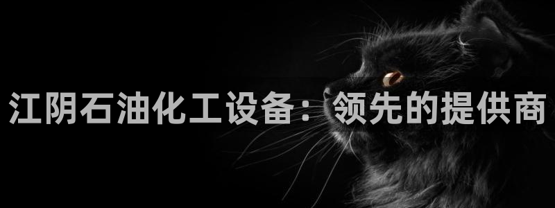 新城平台注册资金多少亿：江阴石油化工设备：领先的提供商