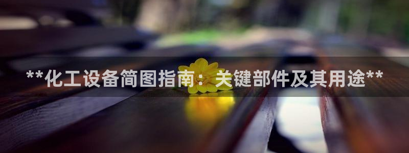 新城平台平台最新活动消息：**化工设备简图指南：关键部件及其