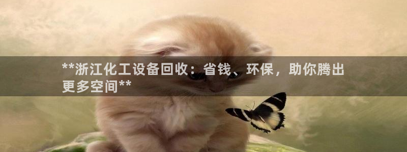 新城平台企业信息查询