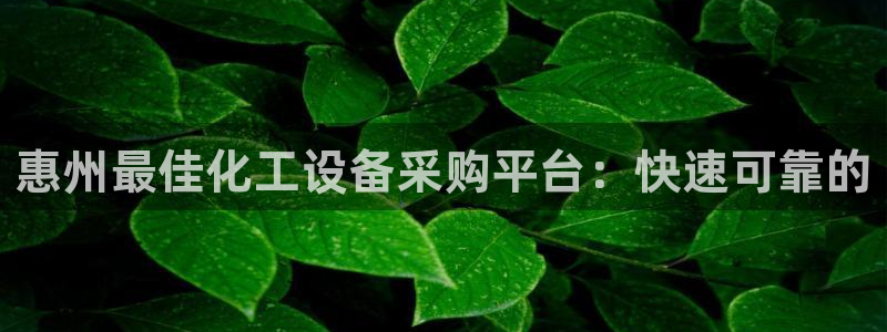 新城平台注册登录地址在哪
