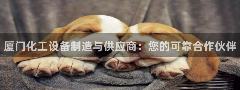 新城平台注册登录地址在哪