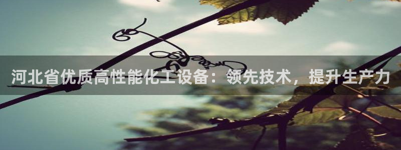新城平台线路登录不上去了怎么回事
