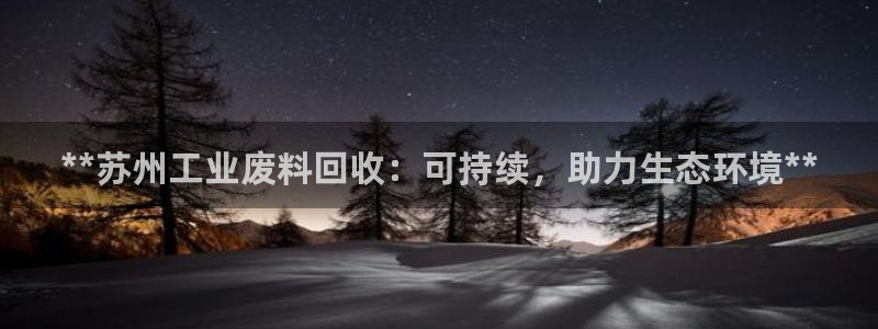 新城平台是干嘛的公司啊
