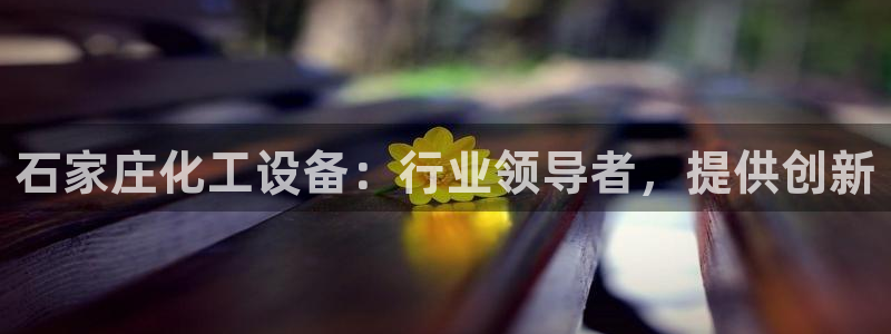 新城平台代理