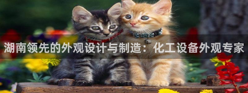 新城平台平台最新活动