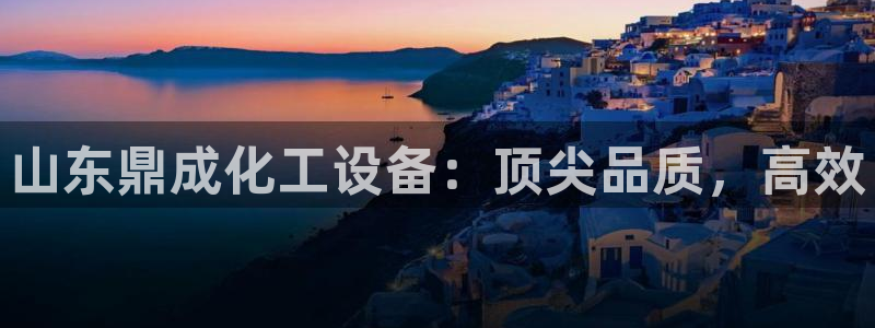 新城平台登录入口官网首页查询