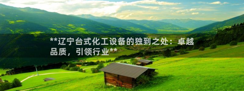 新城平台登录入口网站