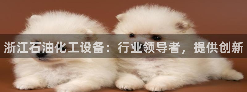 新城平台负责人