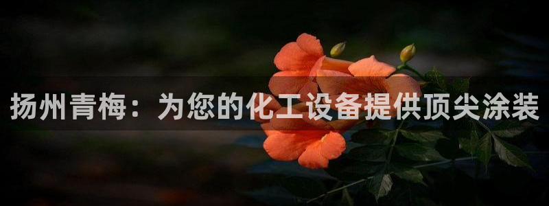 新城平台绝7O777