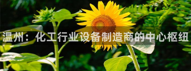 新城平台公司是国企吗