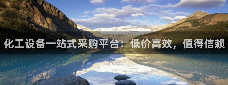 新城平台登录入口官网查询系统