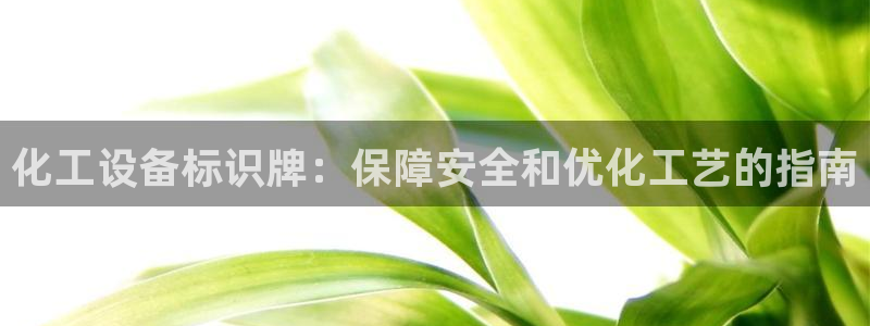 新城平台登录入口官网查询系统