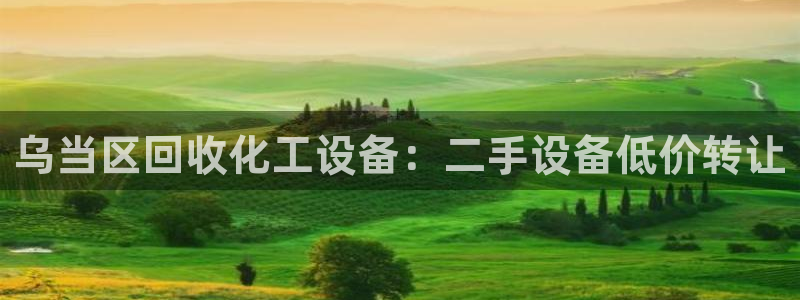 新城平台负责人电话