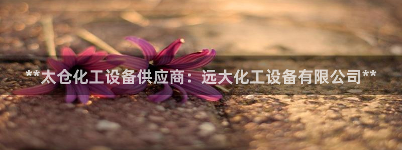 新城平台注册登录地址是什么
