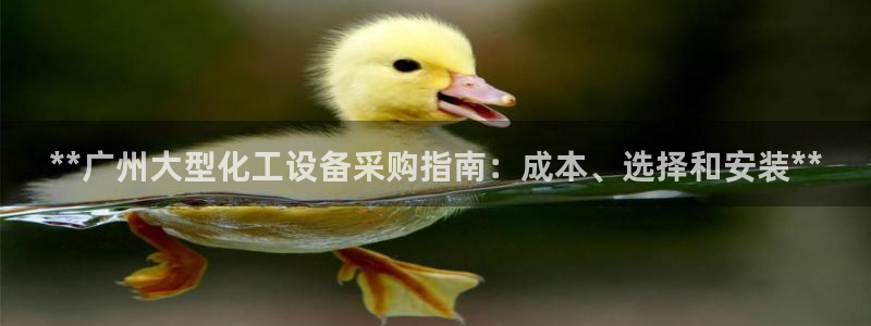 新城平台注册资金多少亿：**广州大型化工设备采购指
