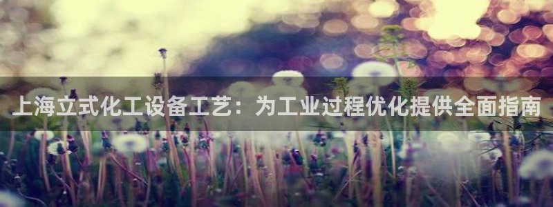 新城平台总代