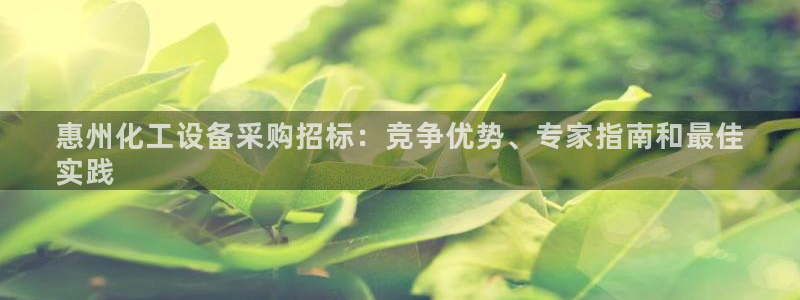 新城平台登录入口官网网址是什么
