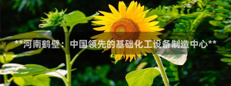 新城平台注册流程