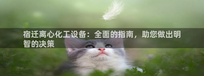 新城平台注册流程：宿迁离心化工设备：全面的指南，助您做出明
