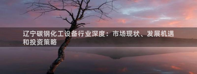 新城平台登录入口官网查询网址：辽宁碳钢化工设备行业