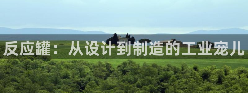 新城平台线路登录不上去怎么办呀