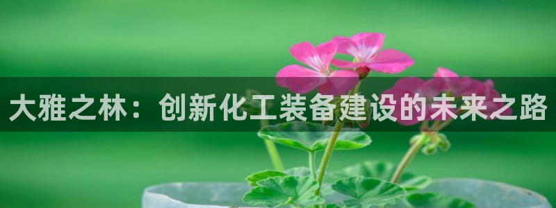 新城平台登录入口官网网址查询：大雅之林：创新化工装