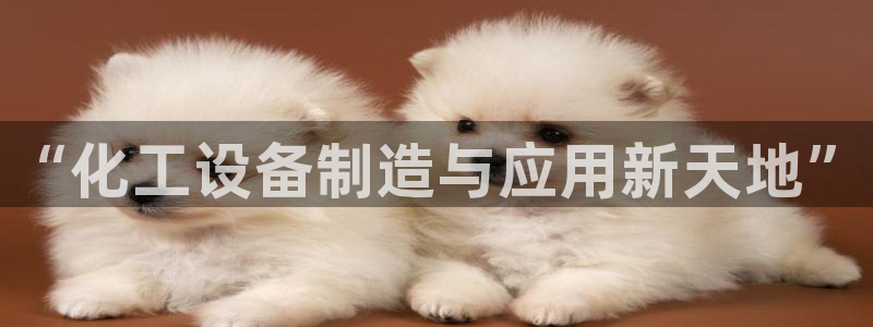 新城平台注册网址是多少