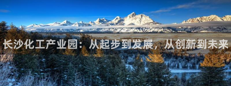 新城平台登录入口官网网址查询