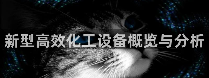 新城平台注册登录地址