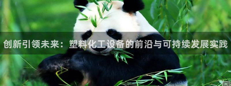 新城平台登录入口官网下载手机版