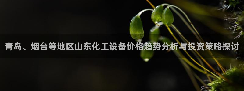 新城平台注册资金多少钱