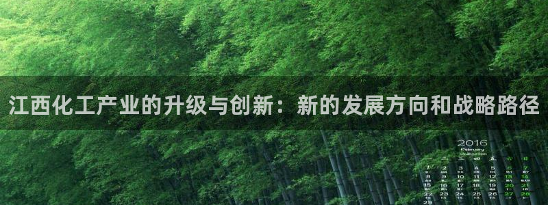新城平台登录入口官网查询：江西化工产业的升级与创新：新的发展