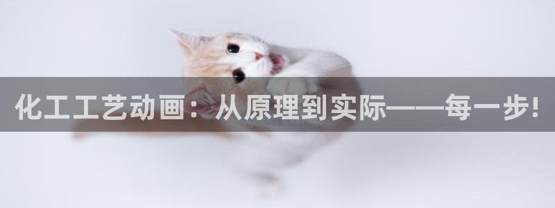 新城平台负责人电话