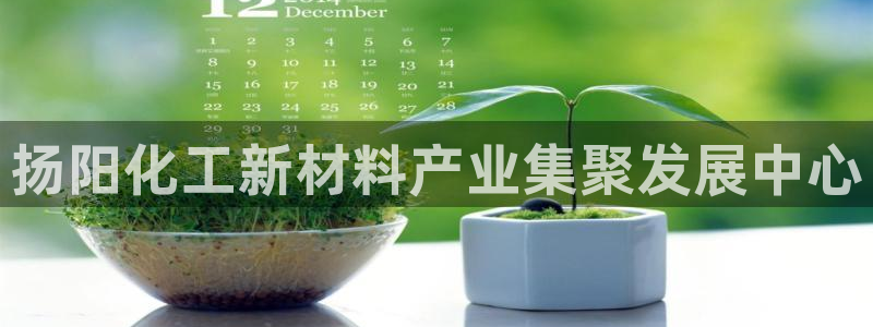 新城平台注册公司流程