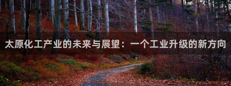 新城平台注册流程图