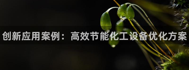 新城平台怎么样