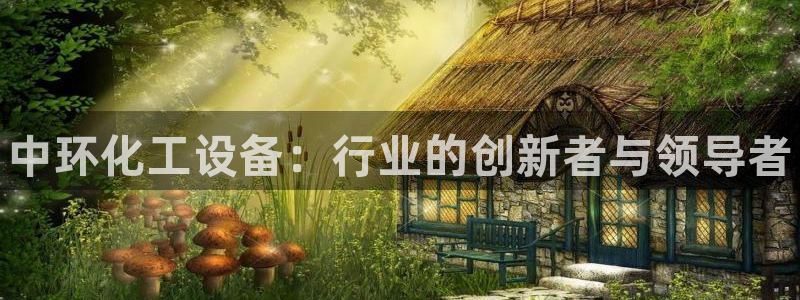 新城平台公司是国企吗