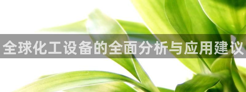新城平台登录入口网站